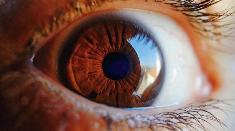 eye, macro, vision